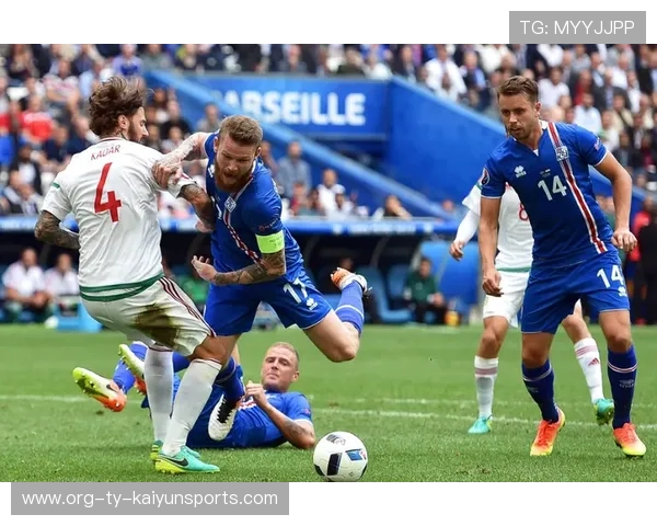 冰岛国家队备战欧洲杯预选赛，积极备战，冰岛足球队 欧洲杯